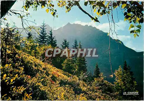 Cartes postales moderne Contre jour en montagne