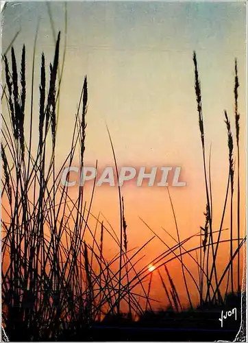 Cartes postales moderne Couleurs et Lumiere de France Coucher de Soleil