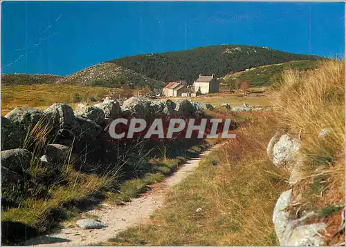 Cartes postales moderne Lozere Une draille sur le Mont Lozere vers l'Hopital