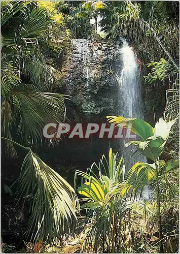 Cartes postales moderne Vallee de Maie Praslin Seychelles