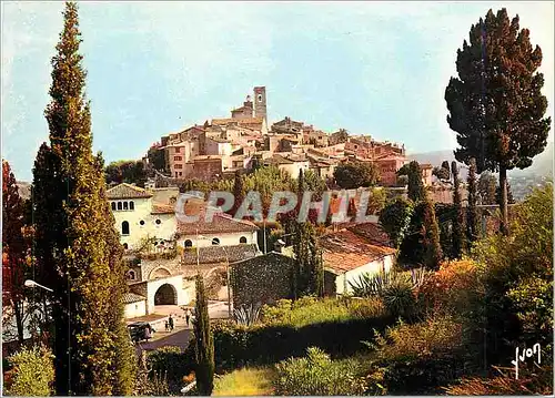 Cartes postales moderne La Cote d'Azur miracle de la nature Saint Paul AM