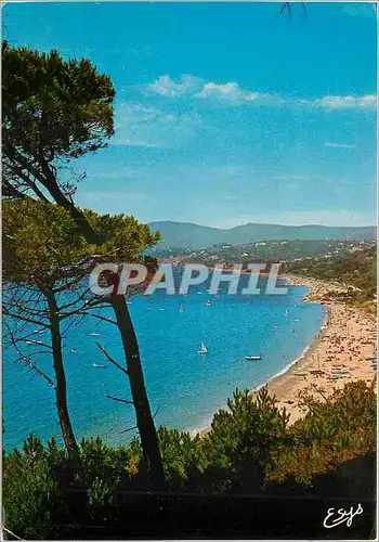 Cartes postales moderne La Cote d'Azur Vanoise La Croix Valmer Var La plage de Gigaro