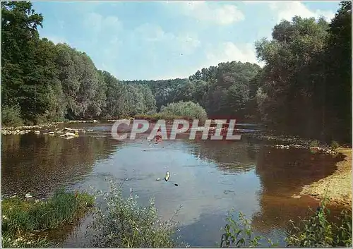 Cartes postales moderne Rosieres Cher Les bords du Cher