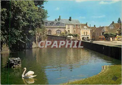 Cartes postales moderne Belleme Douves et Remparts de l'ancien Chateau