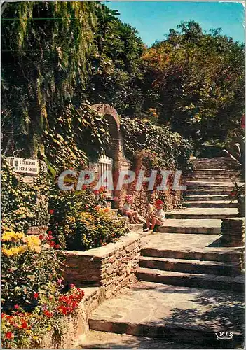 Cartes postales moderne La Cote d'Azur Bormes les Mimosas Une de ses vieilles rues fleuries