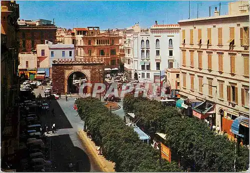 Cartes postales moderne Tunis Porte de France