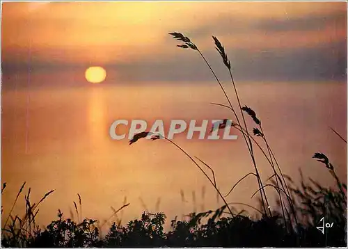 Cartes postales moderne La Bretagne Couleurs Dernier reflet sur la lande