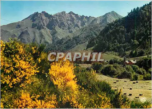 Cartes postales moderne L'Auvergne Pittoresque Le Sancy