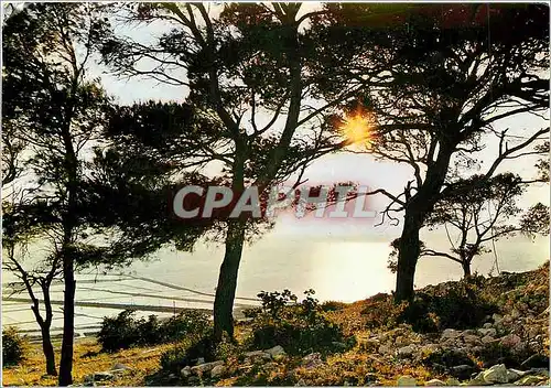 Cartes postales moderne Sete Herault Contre jour sur les Salins Vue du Mont Saint Clair