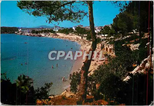 Cartes postales moderne Mallorca Porto Cristo