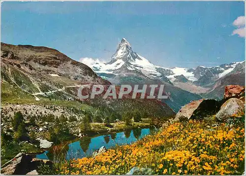 Cartes postales moderne Zerbatt Grind i see mit Mattarhorn