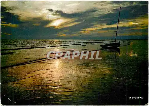 Cartes postales moderne La Cicogne