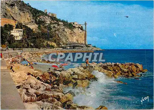 Cartes postales moderne Couleurs et Lumiere de France La Cote d'Azur miracle de la nature Menton Alpes Maritimes Le bord