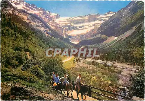 Cartes postales moderne Les Pyrenes Gavarnie Retour du Cirque Ane Mule