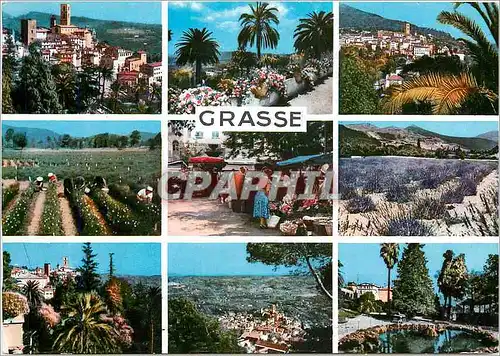 Cartes postales moderne Grasse