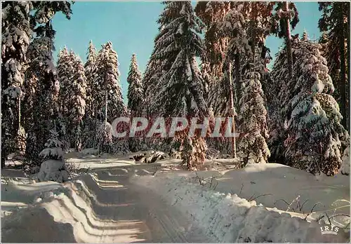 Cartes postales moderne Les Vosges Sous La Neige Route de Montagne