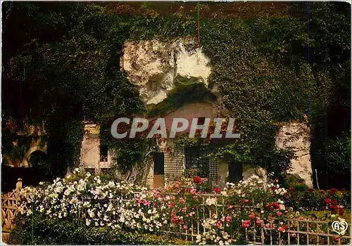 Cartes postales moderne Val De Loire Pittoresque Habitations dans le Rocher