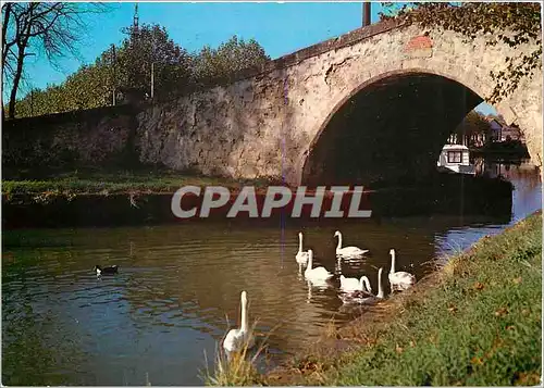 Cartes postales moderne Castelnaudary Aspect du canal du midi le pont vieux