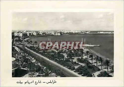 Cartes postales moderne Tripoli Sclara Adrino Pelt