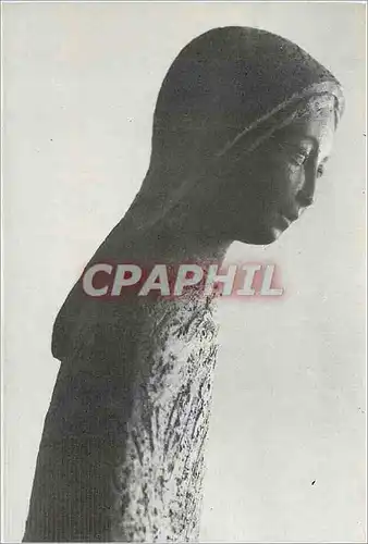 Cartes postales moderne Parrot