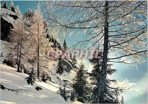 Cartes postales moderne Neige et Soleil Contre jour