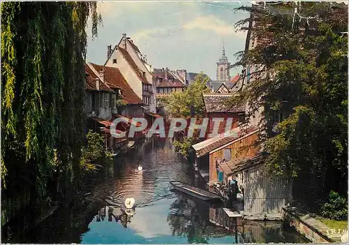 Cartes postales moderne Colmar Haut Rhin La Petite Venise Klein Venedig