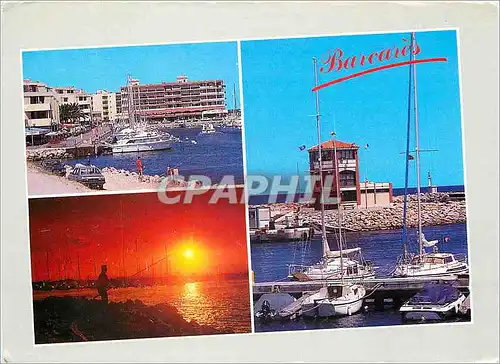 Cartes postales moderne Le Barcares Le Port