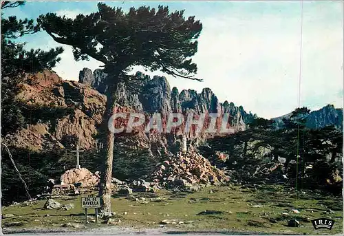 Cartes postales moderne Des arbres echeveles par le vent Des aiguilles ravinees Seule ND des Neiges donne une impression