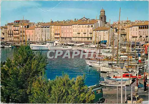 Cartes postales moderne La Cote des Maures Saint Tropez Var Le Port