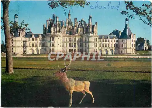 Cartes postales moderne Chateaux de la Loire Chambord L et C Le plus vaste des Chateaux de la Loire