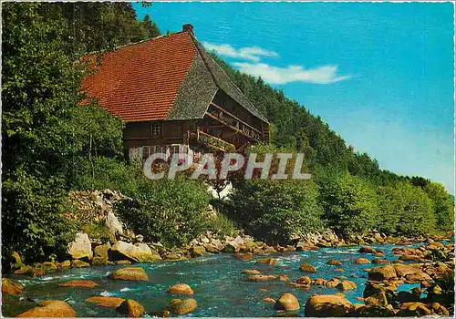 Cartes postales moderne Im Schwarzwald