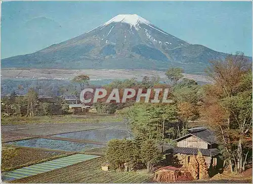 Cartes postales moderne Mt Fuji nid Spring