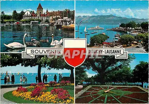 Cartes postales moderne Souvenir d'Ouchy Lausanne