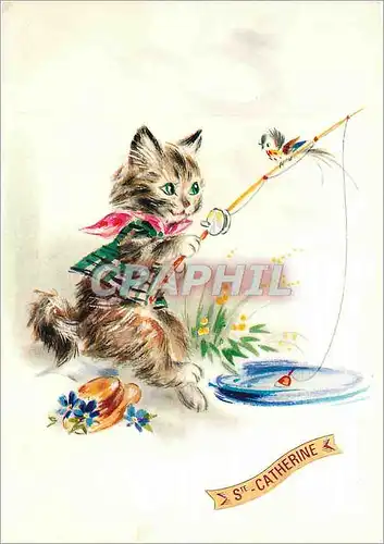 Cartes postales moderne Ste Catherine Chat Peche