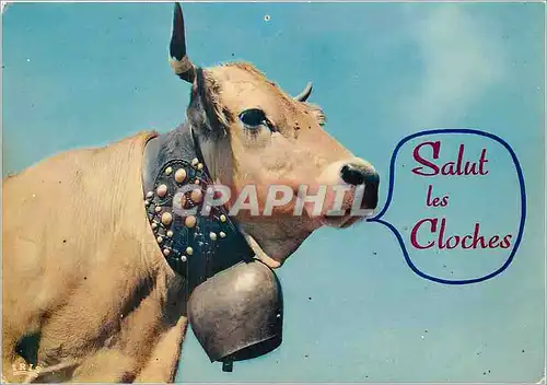 Moderne Karte Salut les Cloches Vache