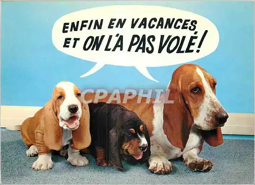 Moderne Karte Les Chiens Basset