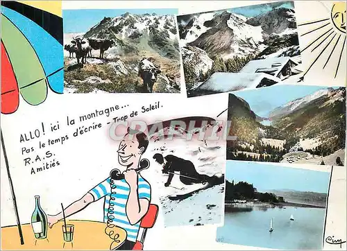 Cartes postales moderne Ski Vaches