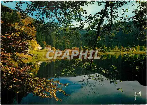 Cartes postales moderne Les Hautes Vosges Lac de Retournemer Vosges