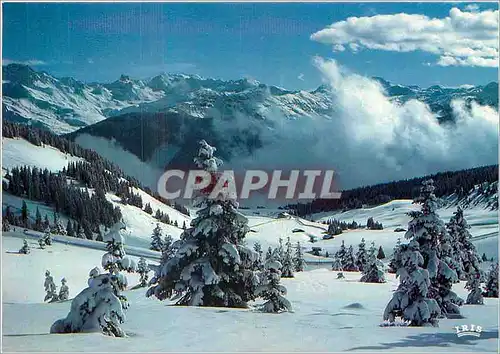 Cartes postales moderne Col des Saisies Savoie Le Versant Hauteluce