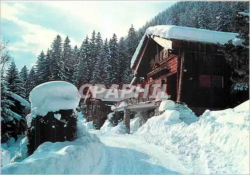 Cartes postales moderne Hiver en Montagne