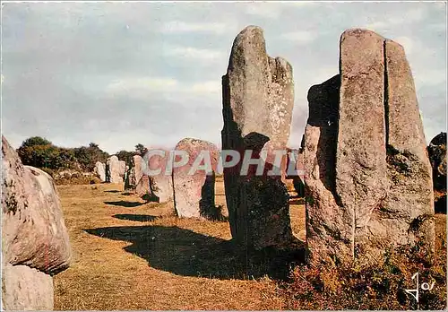 Moderne Karte Alignements Megalithiques dans les environs de Carnac Erdeven