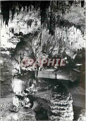 Cartes postales moderne Postojnska Iama Slovenija Yugoslavia