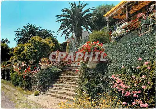 Cartes postales moderne La Cote d'Azur Escalier fleuri