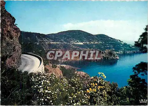 Cartes postales moderne La Route de la Corniche d'Or vers la Pointe de la Galerie