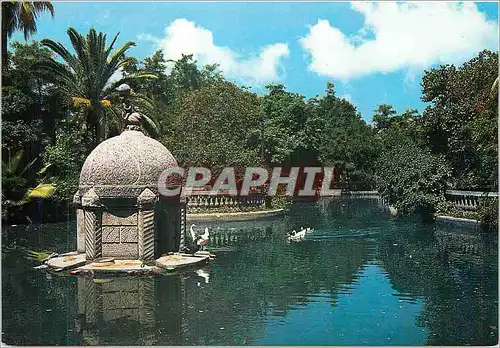 Cartes postales moderne Castellon de la Plana Estanque del Parque Bassin dans le Parc