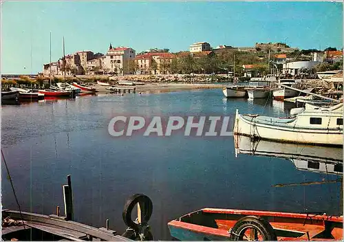 Cartes postales moderne Vue sur St Florent