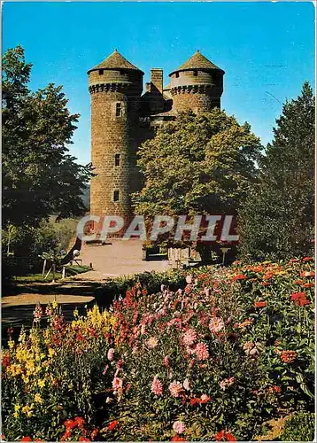 Cartes postales moderne Tournemire Cantal Chateau d'Anjony