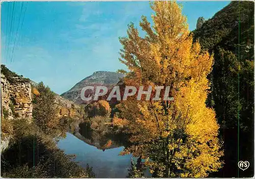 Cartes postales moderne Couleurs d'Automne dans les Gorges du Tarn