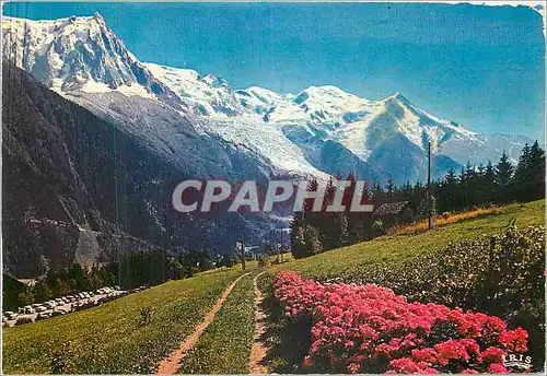 Cartes postales moderne Chamonix Mont Blanc L'Aiguille du Midi le mont Blanc