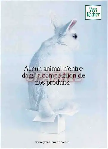 Cartes postales moderne Aucun animal n'entre dans la composition de nos produits Lapin Yves Rocher